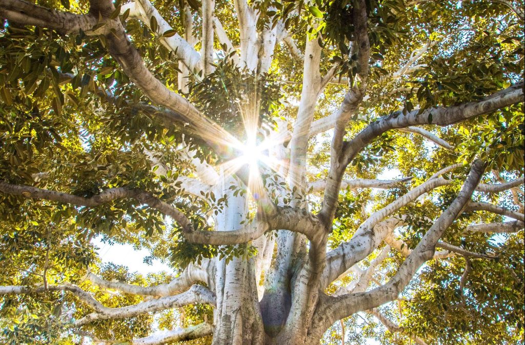 Photographer: Jeremy Bishop