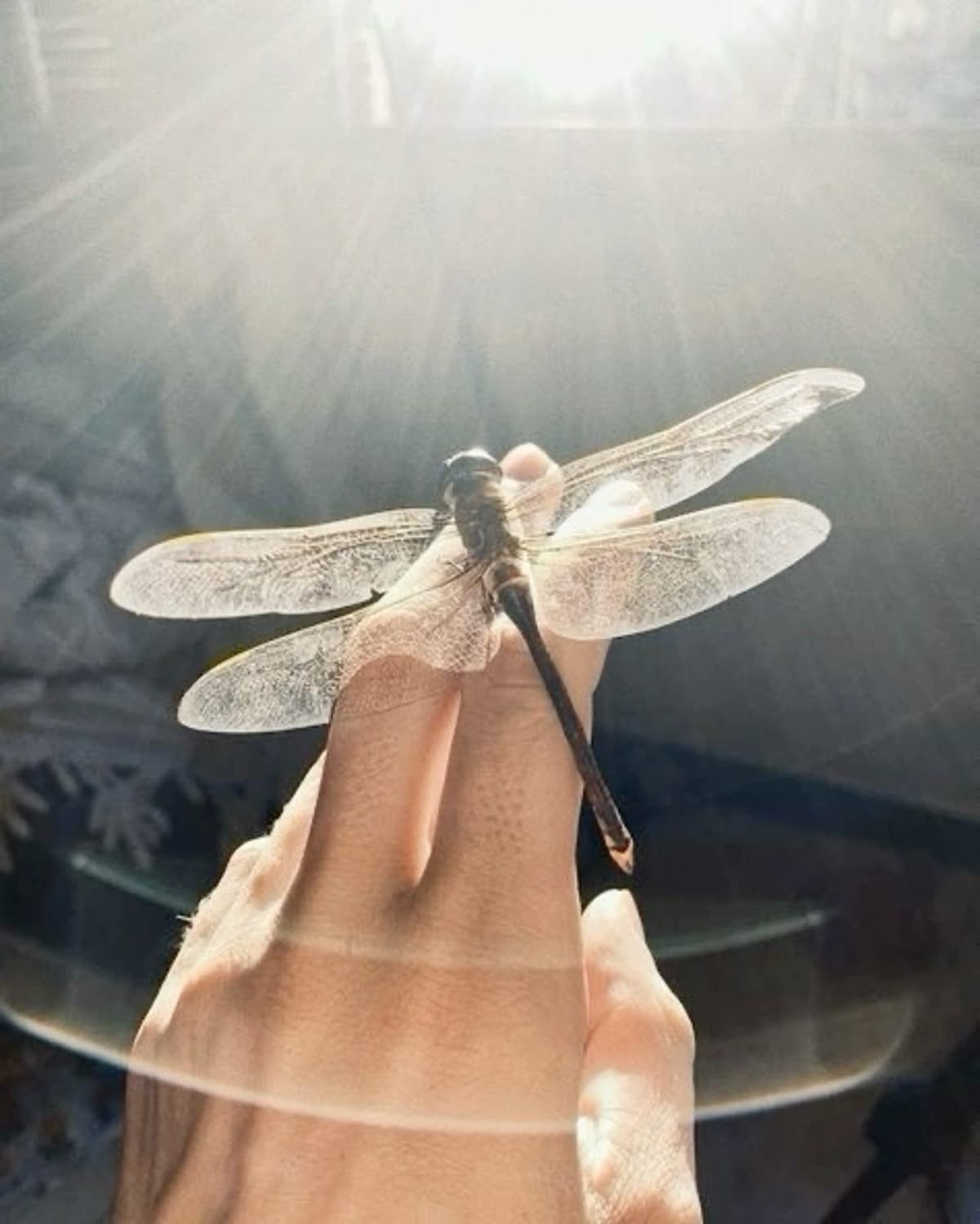 Nature’s Beauty