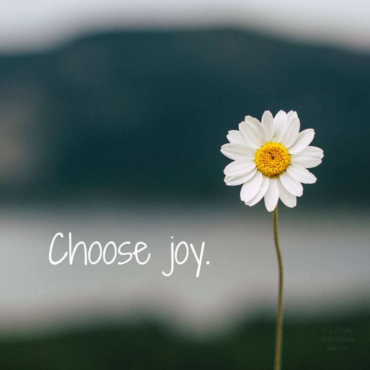 Choose Joy