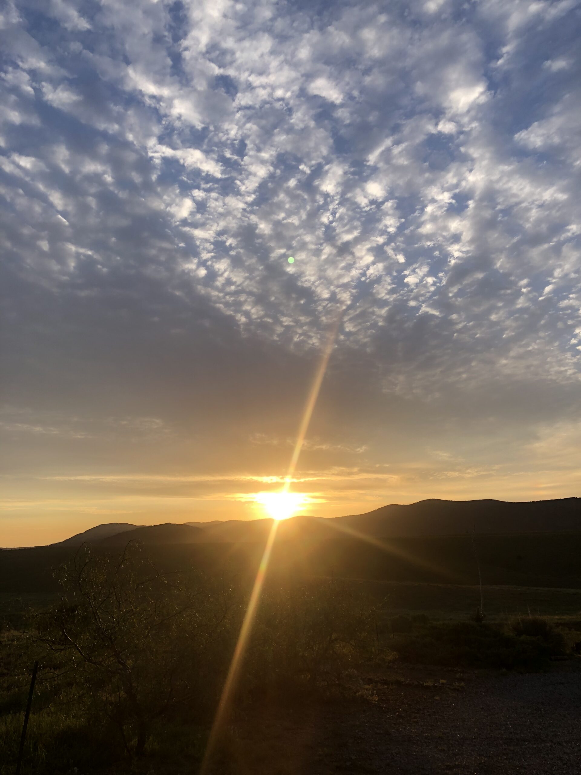 Sun